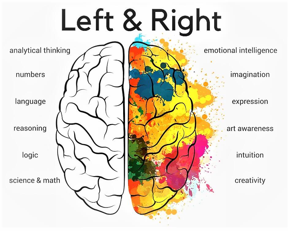 dmit-righ-left-image